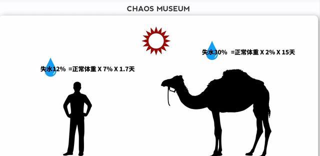 为什么没有动物捕杀骆驼,难道是骆驼不配吗?结果亮了