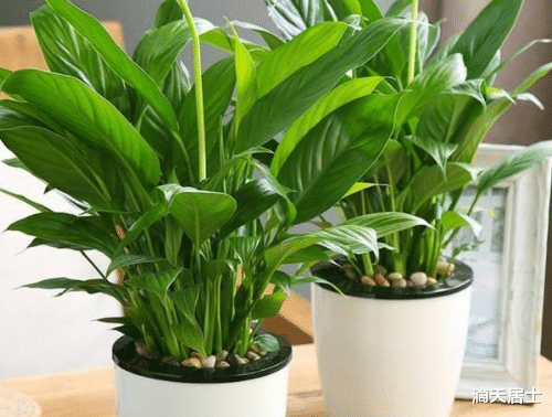 |职场这些让贵人来帮助自己