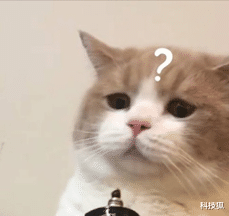 东芝|日本东芝解体，当真是美国动刀子造成的吗？