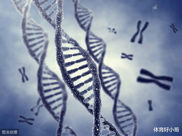 7年不吃不动，12年交配一次，这种与龙最相似的生物堪称地球最懒
