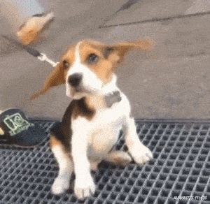 翡翠|1吨100元的纸币和100吨1元的纸币，你选哪个？