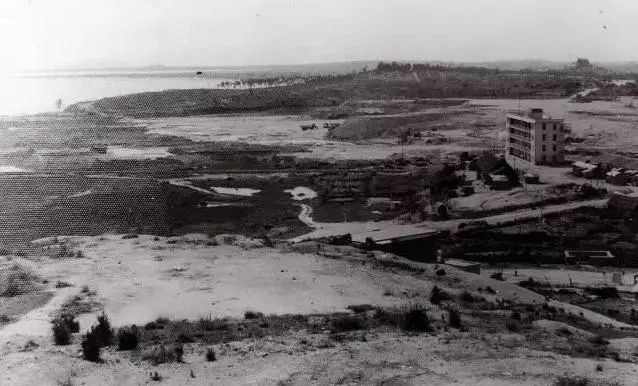 王来春|从“打工妹”到千亿富豪,初中辍学的她凭什么?