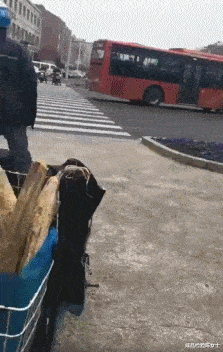 肖央|“筷子兄弟为什么就火了肖央一个人?”因为王太利是老板啊