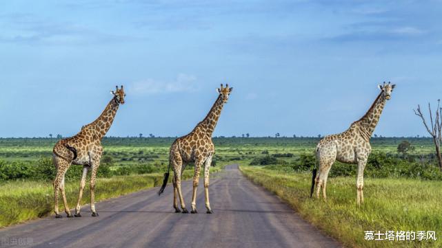 欧洲|2023世界最佳旅行目的地榜单公布,中国有一景区上榜,你去过几个