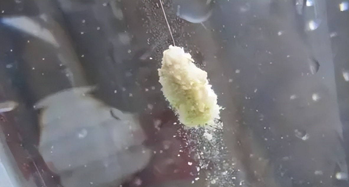 饵料|夏季野钓鱼少口慢?别着急,试试这“3招”,鱼获翻倍不是事