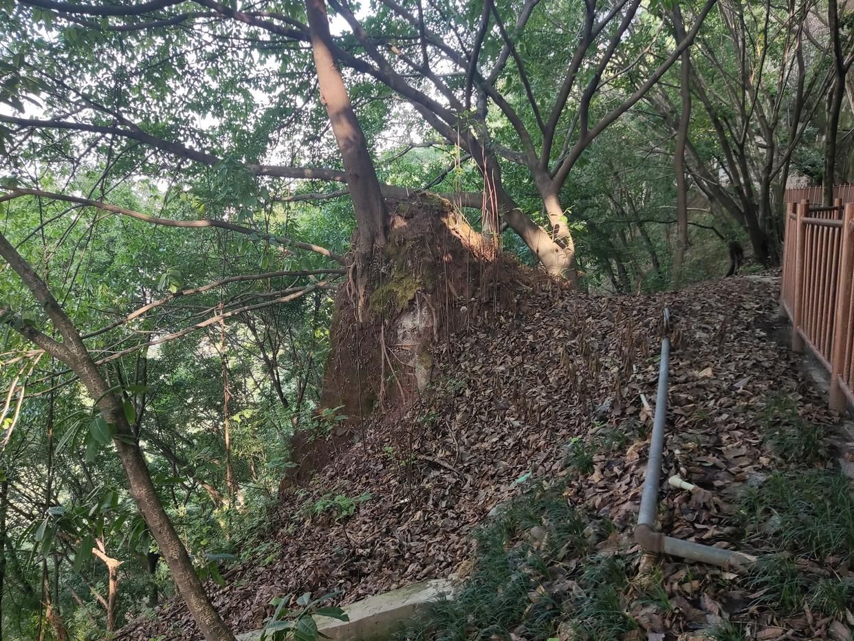 北京市|重庆著名的健身步道，傍山而建景观丰富，好多秘密本地人都不晓得