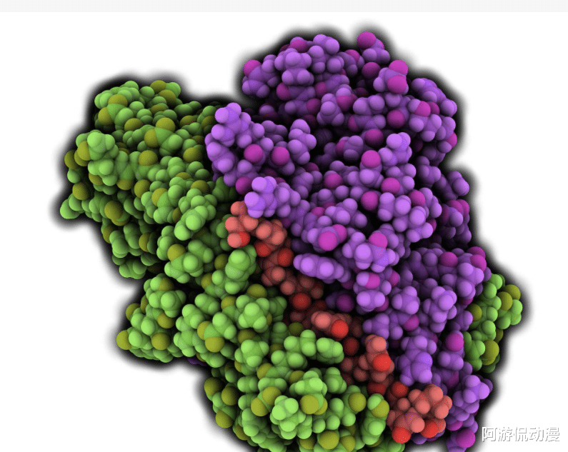 慢性胃炎|近期网络上流传一则信息：人在心情愉悦时，会分泌缩氨酸，可以杀死95%的癌细胞！