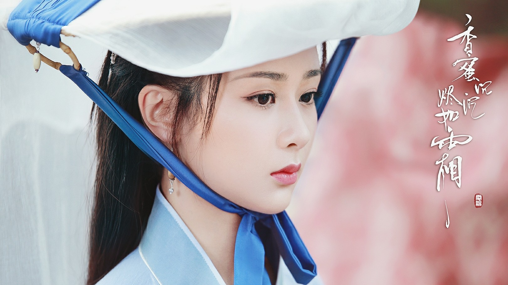 杨紫|杨紫王莎莎,知名童星,科班出身,为何现状却相差巨大?