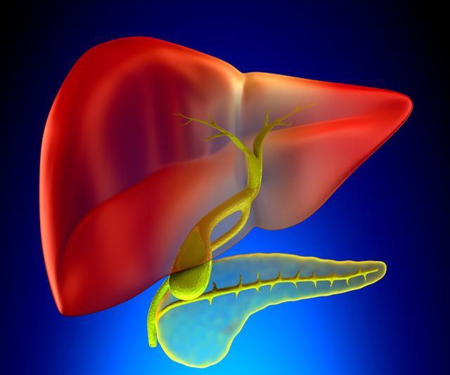 肝脏|肝脏病变时,身体可能“2处变黄,2处长痣”,占一个,最好检查下