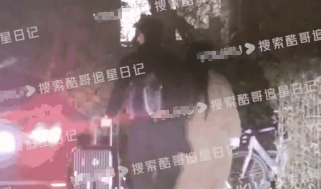 李川|李川携锤娜丽莎合体现身机场，十指紧扣甜蜜相拥，同回寓所疑同居