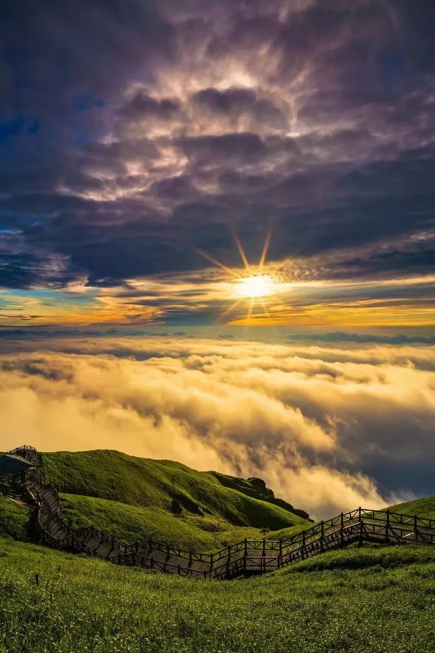 草原|这，才是7月最美的地方！