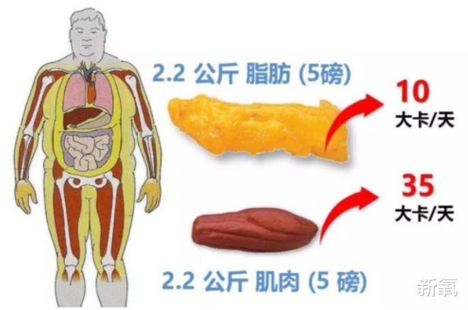 女孩 又一个女明星上热搜被嘲身材,你还记得她吗?