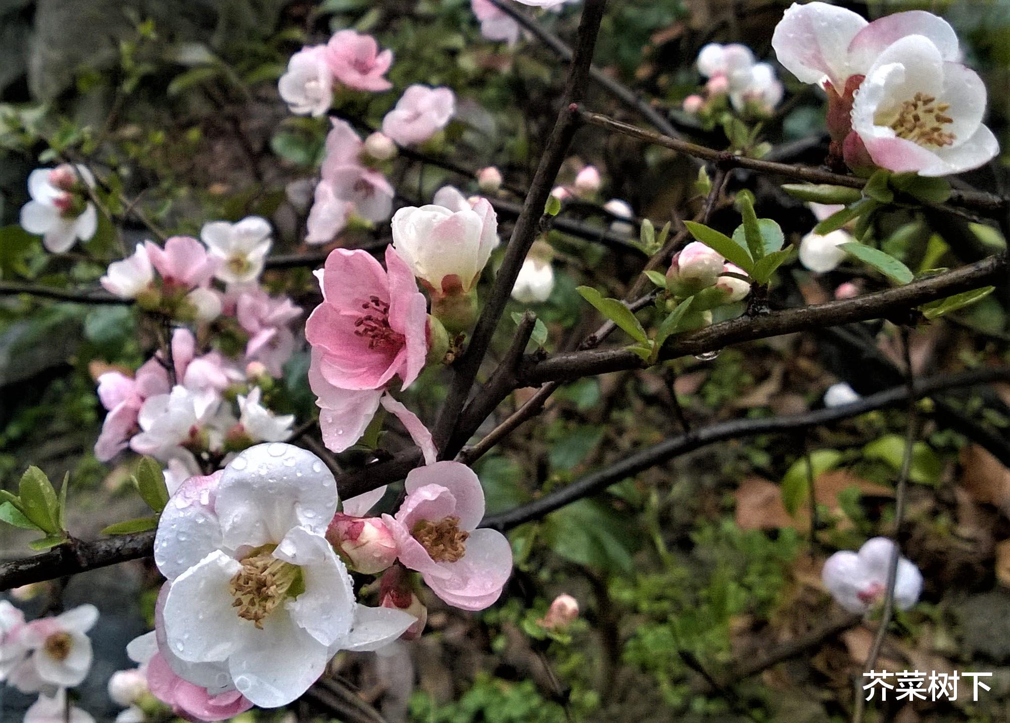师父|职场张扬的底气，你有吗？