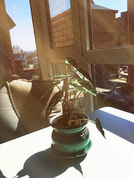 花13万装修的120平新房,没想到被表弟吐槽:不该装这么好!