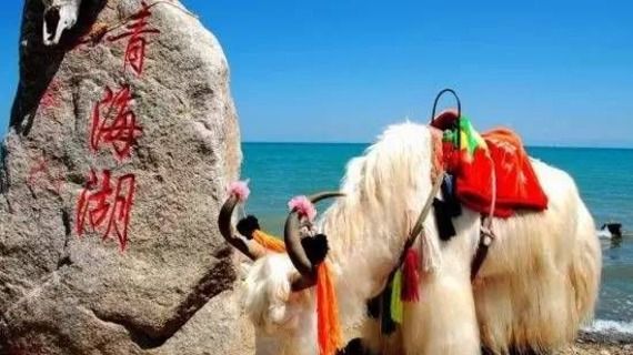 美丽|中国不可不去的最美五大湖