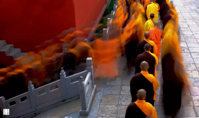 大山的视觉生活