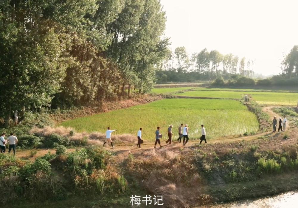 琅琊榜|《县委大院》预计10月播出,梅长苏庭生同框,有5位琅琊榜的演员