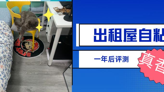 出租屋自粘地板，使用一年后的情况测评来啦！