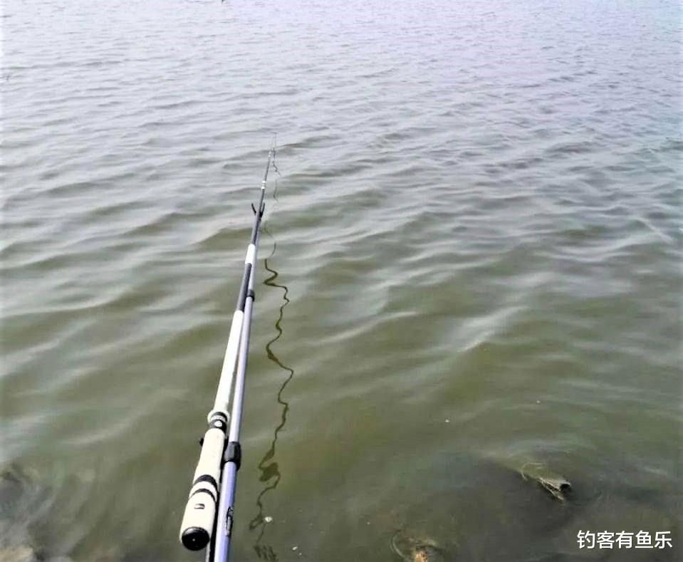 |春季使用红虫、蚯蚓钓鱼，是躺底好还是触底好？应该如何调漂？