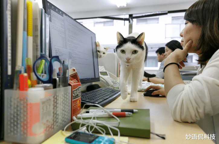 翻译|马云预言未来50%的工作消失，这3类工作首当其冲，愿你不在其中