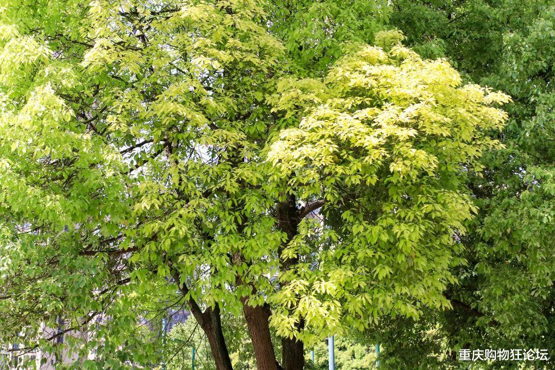 |公交直达，湿地、草坪、运动场！这个宝藏公园怎么还不出圈？