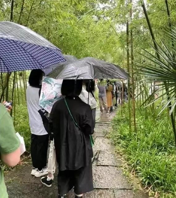 杭州|一张照片引发的绝佳旅游宣传:野生景区推广大使王一博很给力