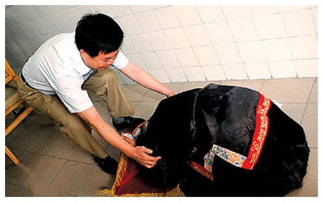 1995年，东莞妙龄女子被送殡仪馆火化，工作人员发现不对救其一命