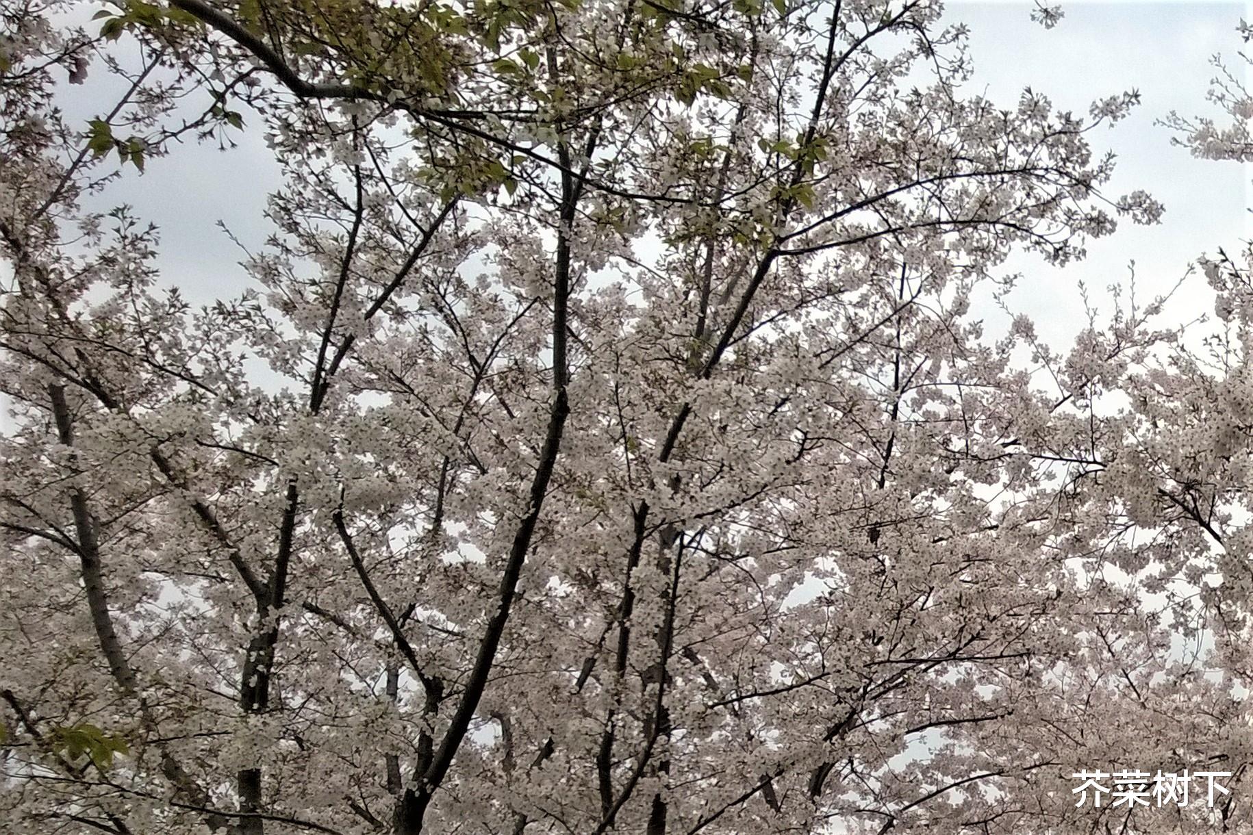 百慕大短裤|职场人的拒绝，就是要明明白白