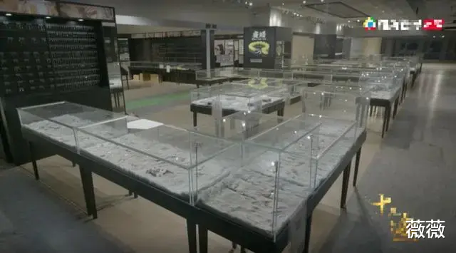 房交会|薇娅\商业帝国\曝光！10层办公楼，仓库像大型超市，住上千万豪宅