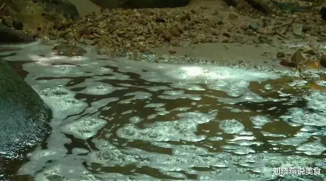 最会用毒的原始部落,自制剧毒吹箭,几分钟就毒死大型动物