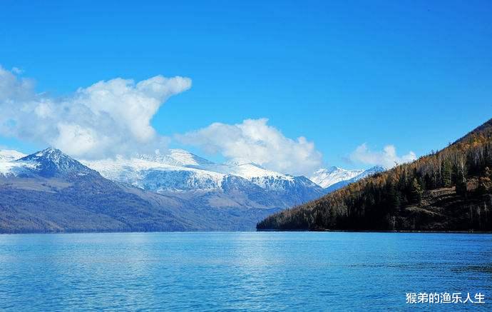 辽宁省|辽宁钓友水库钓到巨青，有人当场出7000，钓鱼也能发家致富吗？