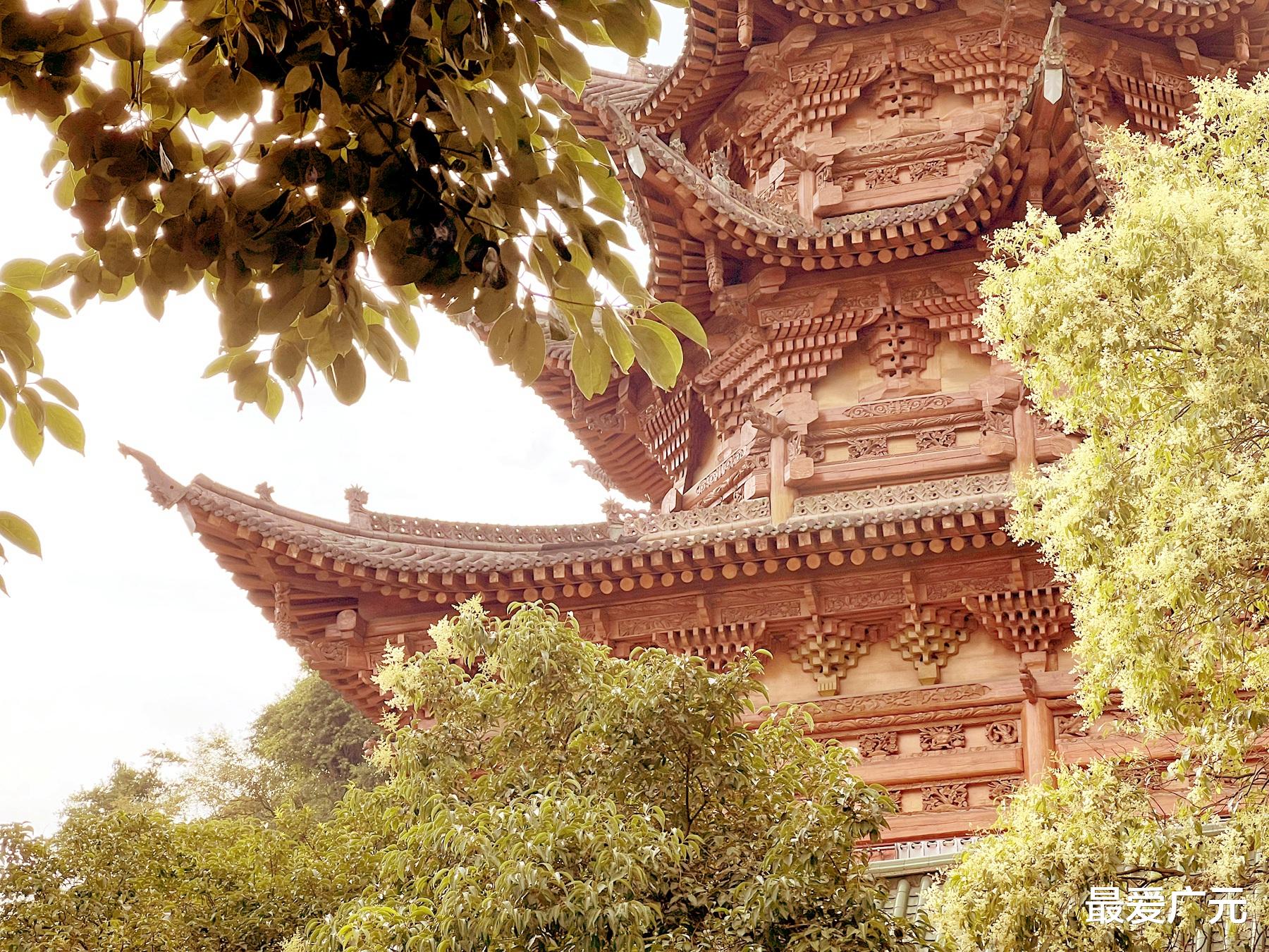 乾隆|将军桥木塔，始建于乾隆年间，塔型非常漂亮，一起来看看吧！