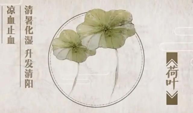 咳嗽|胡博士说中医|盘一盘:《本草中华》的中药五味