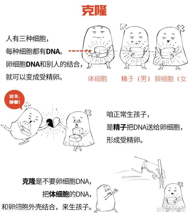 为什么很少再提“克隆”了?多莉的悲惨一生就是答案,非常可怜