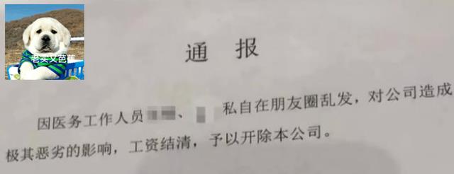 职业教育|发朋友圈羡慕工资按时发放，被公司开除，网友：那是你没遇到00后