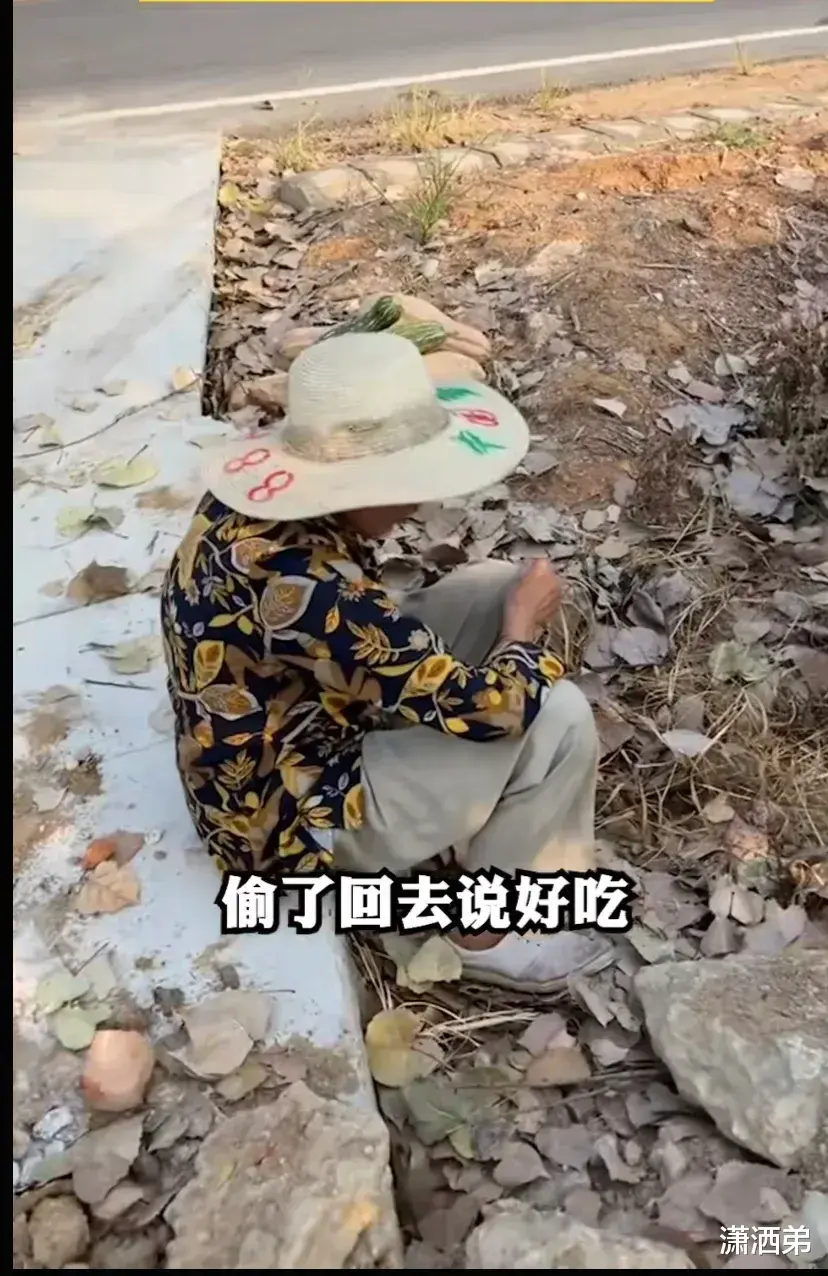 女子承包千亩南瓜遭附近老人偷瓜,上去理论反被对方道德绑架