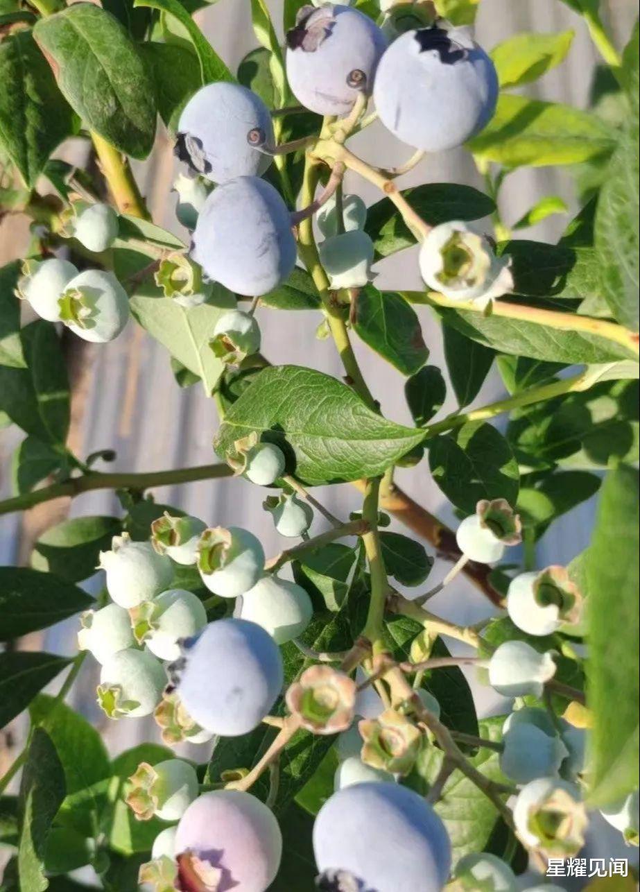武夷山国家公园|美丽乡村游——朱阳雄关，大美河山
