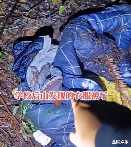 胡鑫宇案有了最新发现!围墙上找到一个很大的洞口