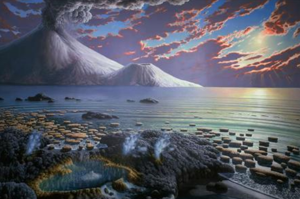 海水盐分重,海洋动物是如何喝到淡水的?其实原理没那么复杂