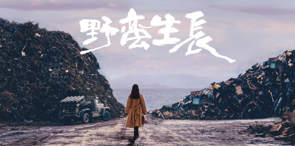 赵丽颖|《野蛮生长》剧照：34岁赵丽颖太养眼，看着比小5岁的男主还年轻