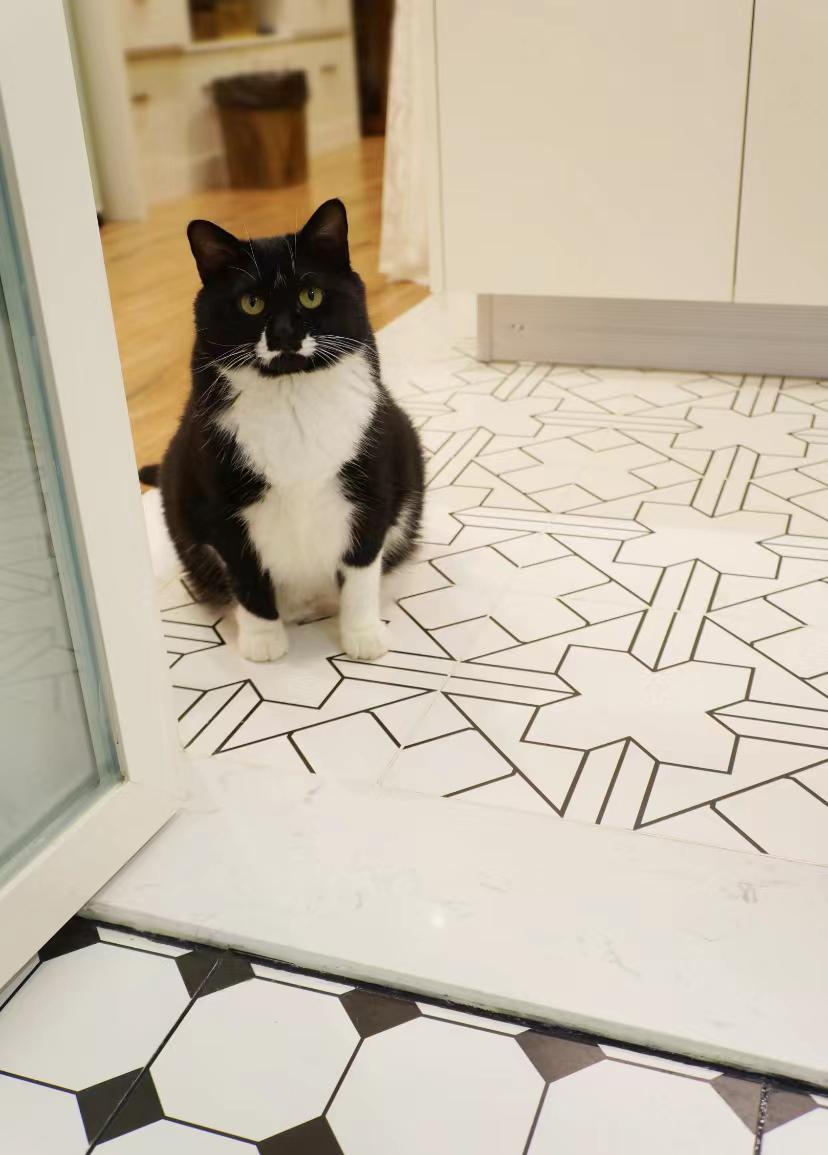 成都独居女孩,用手工装饰38平复古小家,却让无数人惊叹,真的太美了