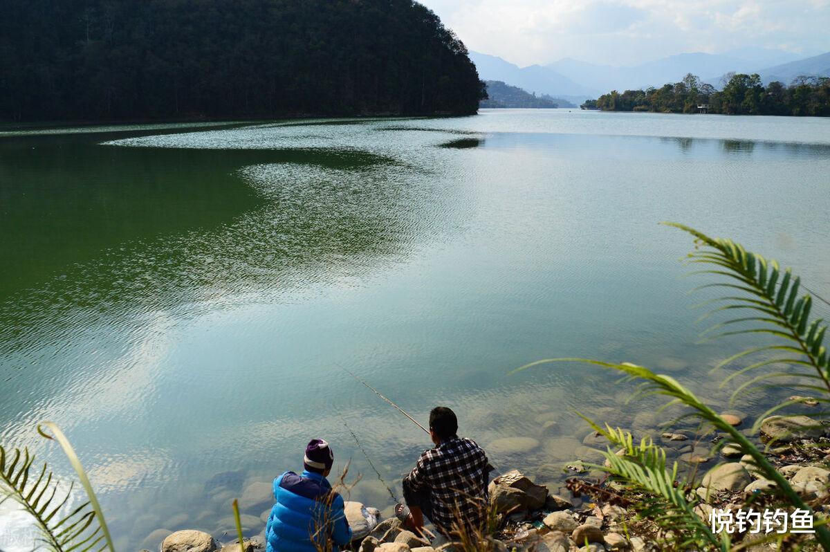 |夏季的荷花水域也是好钓点，钓法在这里