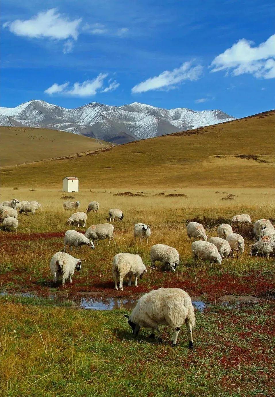 小红书|《隐入尘烟》，是这座西北最绚烂的千年古城，比敦煌还瑰丽