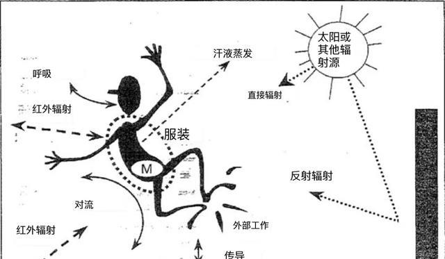 人类极限很强大?若地球越来越热,气温到多少度人类将无法适应?