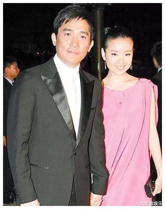 董洁|董洁的悲惨,是在“白天鹅”被“癞蛤蟆”吃到时就已经注定了的