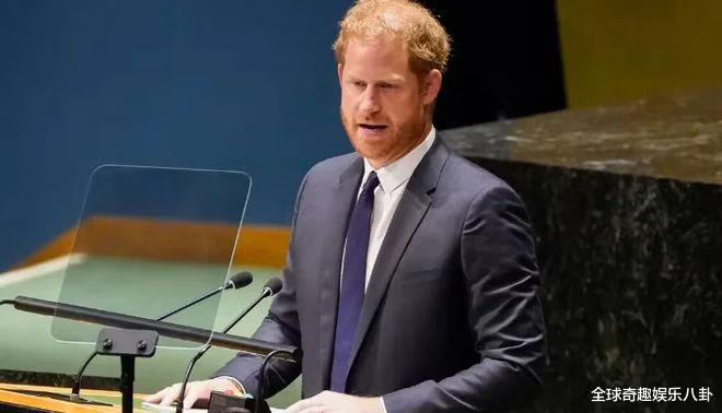 哈里王子|梅根想搞清楚，哈里王子在联合国演讲时，为何现场满是空座位？