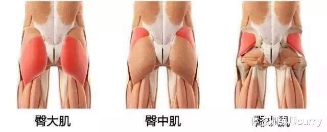 臀部|拒绝大妈式“扁平臀”, 这五个动作经常练,练出少女般的圆润翘臀