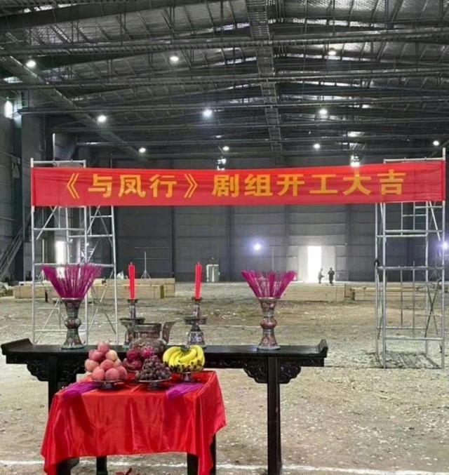 杨幂|新接的角色都不是人类，杨幂和赵丽颖累了吗？