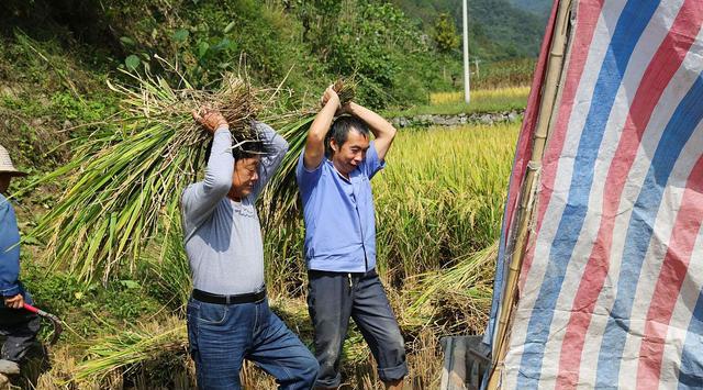 考试|街道的社工,没有编制的那种,有发展前途吗?在职考编是好选择!