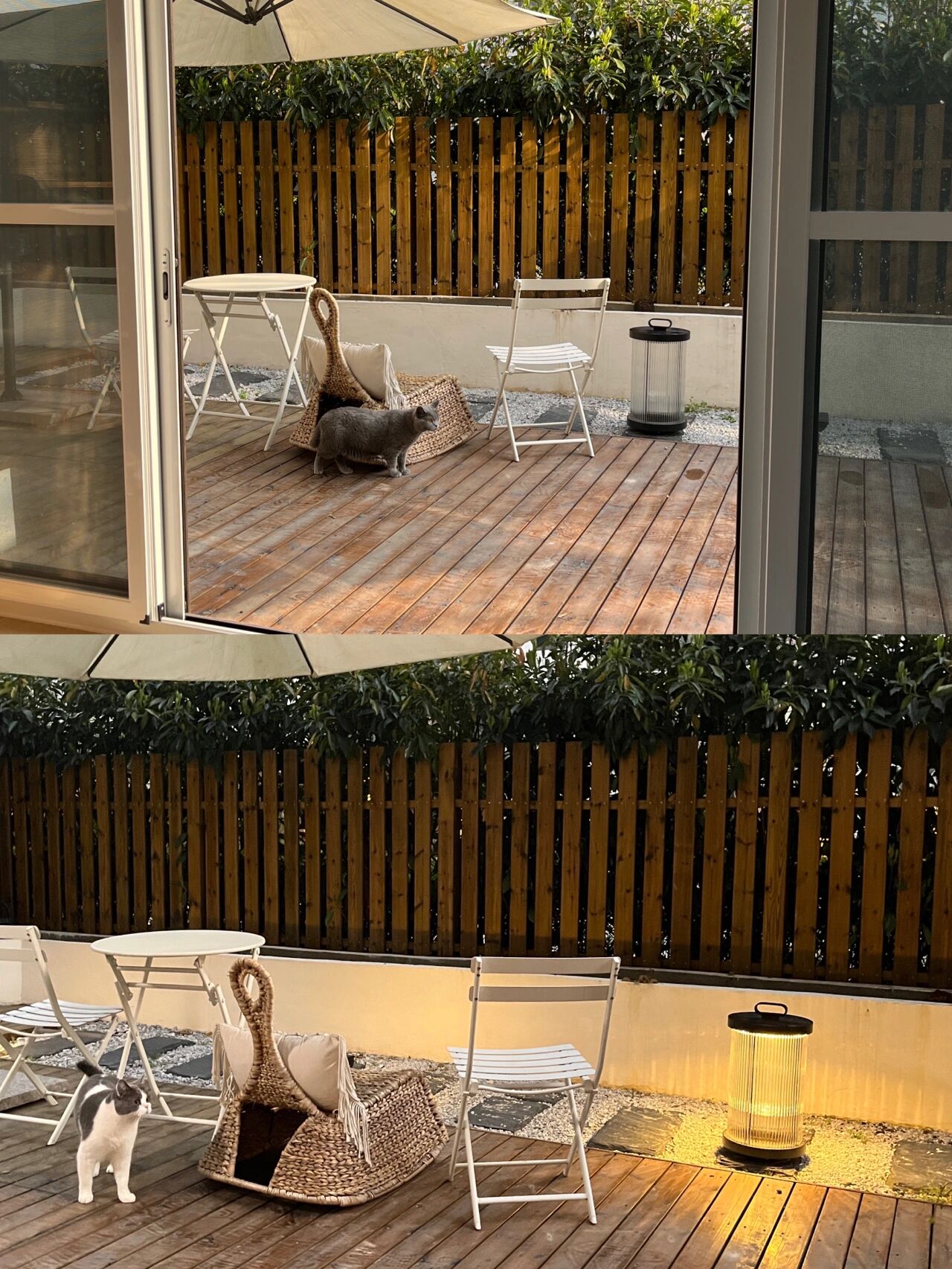 住房公积金|一楼40㎡花园改造，3万元就能拥有一个自己的秘密花园，太美了